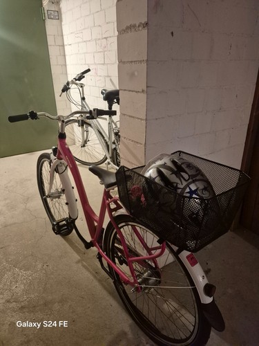Das fahrrad